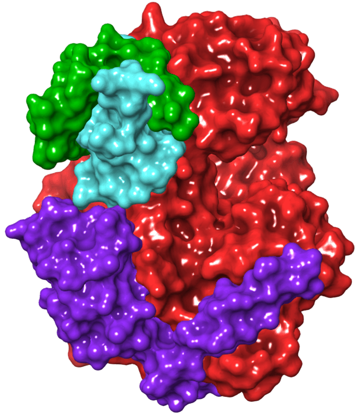 Drug Development Challenge